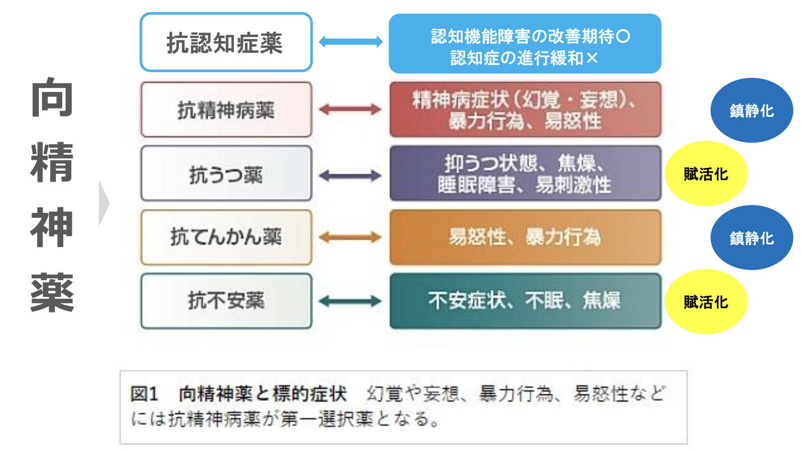 抗 精神 薬