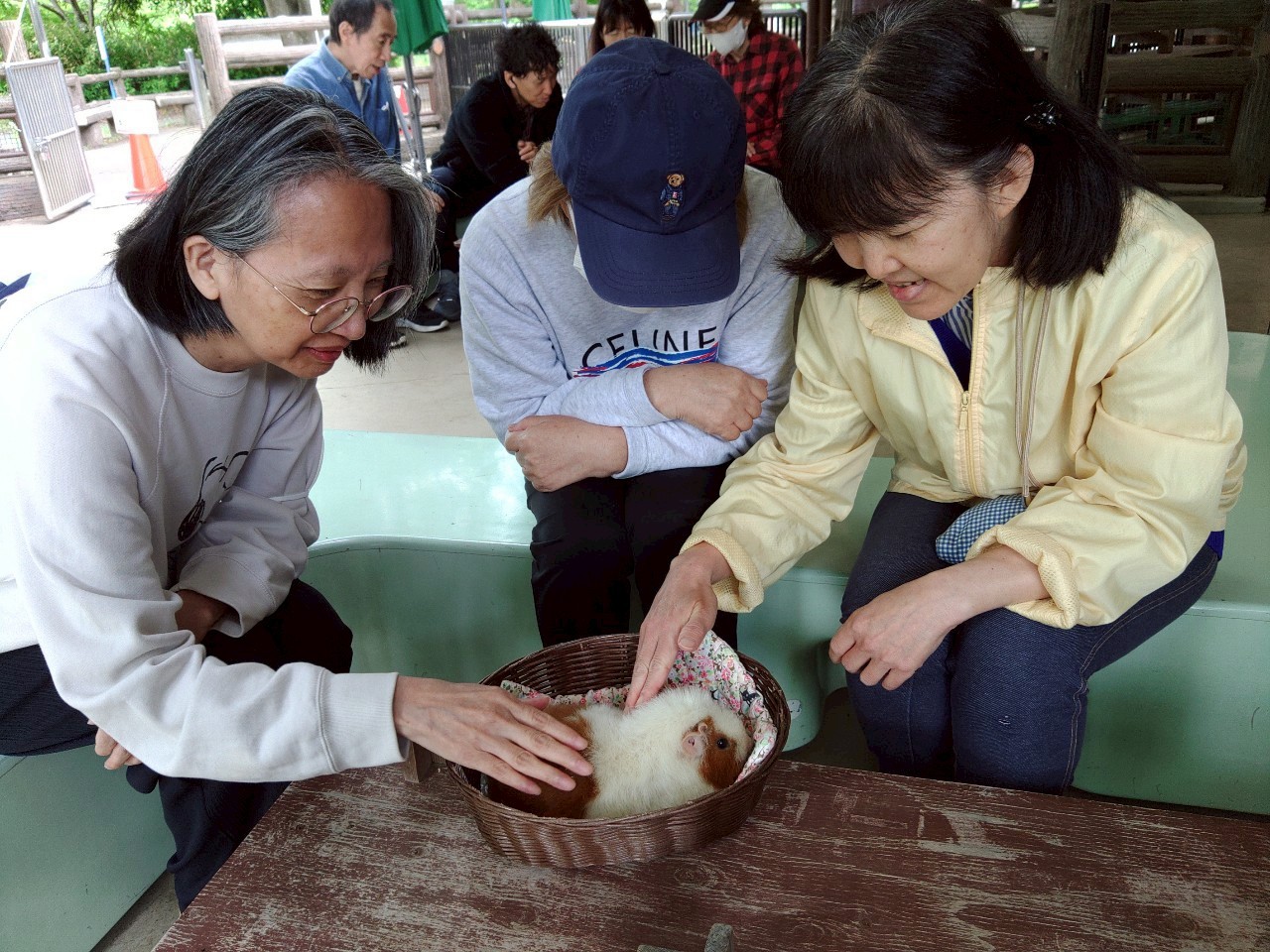 万騎が原ちびっこ動物園♪